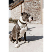 Kentucky Dogwear Halsband Teddy Fleece Pine Green Kentucky Dogwear Halsband Teddy Fleece Pine Green