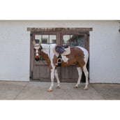 Kentucky Horsewear Mantilla Softshell Onion Quilt saltando Beige/Rosa viejo Kentucky Horsewear Mantilla Softshell Onion Quilt saltando Beige/Rosa viejo