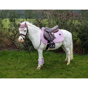 Kentucky Mantilla Velvet Sammy saltando Old Rose Kentucky Mantilla Velvet Sammy saltando Old Rose