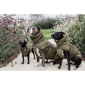 Kentucky Dogwear Manta para Perros Winter Pina 160g Pine Green Kentucky Dogwear Manta para Perros Winter Pina 160g Pine Green