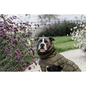 Kentucky Dogwear Manta para Perros Winter Pina 160g Pine Green Kentucky Dogwear Manta para Perros Winter Pina 160g Pine Green