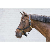 Kentucky Horsewear Cabezada Nylon Breakaway Negro Kentucky Horsewear Cabezada Nylon Breakaway Negro