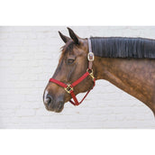 Kentucky Horsewear Cabezada Nylon Breakaway Bordeaux Kentucky Horsewear Cabezada Nylon Breakaway Bordeaux