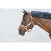 Kentucky Horsewear Cabezada Nylon Breakaway Rosa Viejo Kentucky Horsewear Cabezada Nylon Breakaway Rosa Viejo