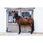 Kentucky Turnout Boots ProAIR Short Kentucky Turnout Boots ProAIR Short