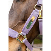 Kentucky Cabezada Velvet Morado Kentucky Cabezada Velvet Morado