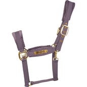 Kentucky Cabezada Velvet Morado Kentucky Cabezada Velvet Morado