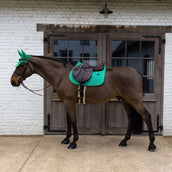Kentucky Mantilla Velvet Horse Printing saltando Verde Kentucky Mantilla Velvet Horse Printing saltando Verde