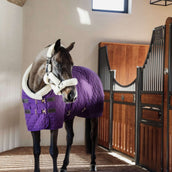 Kentucky Horsewear Manta de exhibición Royal 160g Morado Kentucky Horsewear Manta de exhibición Royal 160g Morado