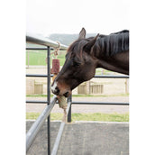 Grooming Deluxe by Kentucky Relax Horse Toy Wooden De-Stress Grooming Deluxe by Kentucky Relax Horse Toy Wooden De-Stress