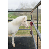 Grooming Deluxe by Kentucky Relax Horse Toy Wooden Unicorn Joy Grooming Deluxe by Kentucky Relax Horse Toy Wooden Unicorn Joy