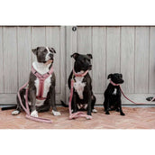 Kentucky Dogwear Arnés Teddy Fleece Rosa Viejo Kentucky Dogwear Arnés Teddy Fleece Rosa Viejo