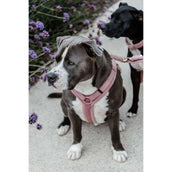 Kentucky Dogwear Arnés Teddy Fleece Rosa Viejo Kentucky Dogwear Arnés Teddy Fleece Rosa Viejo