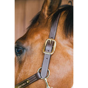 Kentucky Horsewear Cabezada de Cuero Wellington Marron Kentucky Horsewear Cabezada de Cuero Wellington Marron