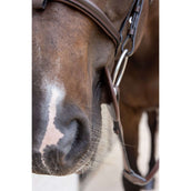 Kentucky Anillos de Embocadura Bit Ring Marron Kentucky Anillos de Embocadura Bit Ring Marron