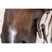 Kentucky Anillos de Embocadura Bit Ring Marron Kentucky Anillos de Embocadura Bit Ring Marron