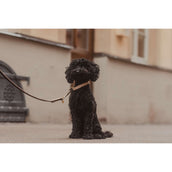 Kentucky Horsewear Collar Beige Kentucky Horsewear Collar Beige