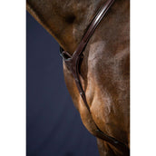 Dyon Arnés de Pecho Bridge New English Collection Marron Dyon Arnés de Pecho Bridge New English Collection Marron