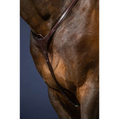 Dyon Arnés de Pecho Bridge New English Collection Marron Dyon Arnés de Pecho Bridge New English Collection Marron