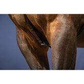 Dyon Arnés de Pecho Bridge New English Collection Marron Dyon Arnés de Pecho Bridge New English Collection Marron