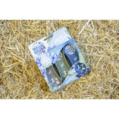 Magic Brush Impostato Magic Brush Impostato