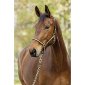 Covalliero Cabezada SS26 Negro/Nuez Covalliero Cabezada SS26 Negro/Nuez