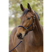 Covalliero Cabezada SS26 Azul Marino Oscuro Covalliero Cabezada SS26 Azul Marino Oscuro