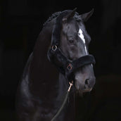 Covalliero Cabezada SuperSoft Negro Covalliero Cabezada SuperSoft Negro