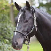 Kerbl Cabezada Cordano Oliva Kerbl Cabezada Cordano Oliva