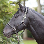 Kerbl Cabezada Cordano Oliva Kerbl Cabezada Cordano Oliva