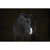 Kieffer Brida Amy Shine Negro Kieffer Brida Amy Shine Negro