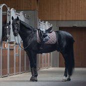 Kingsland Mantilla KLLexie Doma clásica Brown Iron Kingsland Mantilla KLLexie Doma clásica Brown Iron