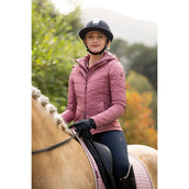 LeMieux Jack Brioney Hybrid Peony LeMieux Jack Brioney Hybrid Peony