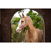 LeMieux Juego de Cabestro Vogue Blossom LeMieux Juego de Cabestro Vogue Blossom