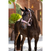 LeMieux Cabezada Versailles Blossom LeMieux Cabezada Versailles Blossom