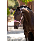 LeMieux Cabezada Versailles Blossom LeMieux Cabezada Versailles Blossom