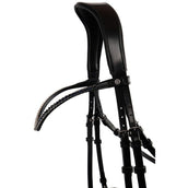 Montar Frontal Fair Crystal Curved Azul marino/Negro Montar Frontal Fair Crystal Curved Azul marino/Negro