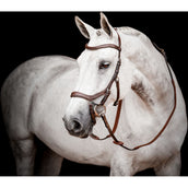 Rambo Micklem Multi Bridle New Dark Havana Rambo Micklem Multi Bridle New Dark Havana