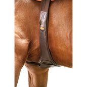 Schockemöhle Cincha Portland Espresso/Plata Schockemöhle Cincha Portland Espresso/Plata