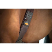 Schockemöhle Cincha Oklahoma Espresso/Plata Schockemöhle Cincha Oklahoma Espresso/Plata