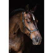 Schockemöhle Cabezada Ulm Pro Negro/Plata Schockemöhle Cabezada Ulm Pro Negro/Plata