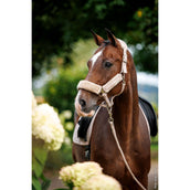 Schockemöhle Cabezada SP Melbourne Soft Style Pale Pink Schockemöhle Cabezada SP Melbourne Soft Style Pale Pink