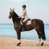 Schockemöhle Mantilla SP High Density S Style saltando Piedra Schockemöhle Mantilla SP High Density S Style saltando Piedra