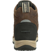 Suedwind Jodhpur Field FZ GripFTX Chocolate Suedwind Jodhpur Field FZ GripFTX Chocolate
