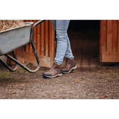 Suedwind Jodhpur Field FZ GripFTX Chocolate Suedwind Jodhpur Field FZ GripFTX Chocolate