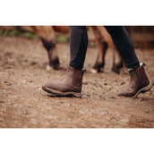 Suedwind Jodhpur Field FZ GripFTX Merino Marron Suedwind Jodhpur Field FZ GripFTX Merino Marron