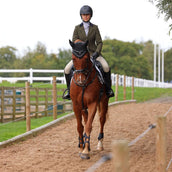 Aubrion by Shires Chaqueta de Competición Saratoga Spruce Verde Check Aubrion by Shires Chaqueta de Competición Saratoga Spruce Verde Check