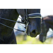 Trust Bocado de Dressage Sweet Iron Puerto bajo fijo de Weymouth Trust Bocado de Dressage Sweet Iron Puerto bajo fijo de Weymouth