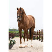 Trust Pessoa Filete de Anillas Sueltas Inno Sense 2,5 Ring Port Medium 15mm Trust Pessoa Filete de Anillas Sueltas Inno Sense 2,5 Ring Port Medium 15mm