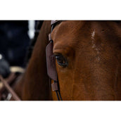 Trust Parpadeador Negro Trust Parpadeador Negro